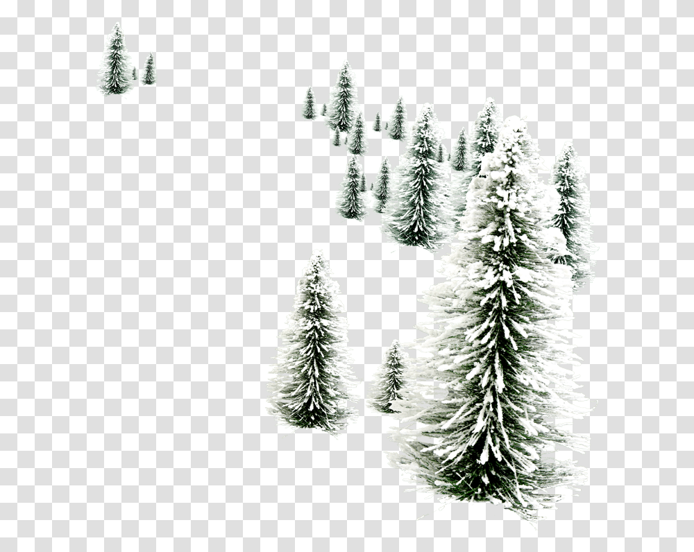 Christmas Wallpaper Hd Snowmen, Tree, Plant, Fir, Abies Transparent Png