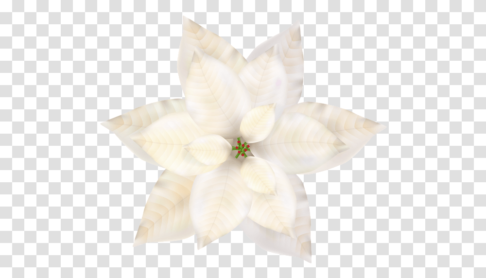 Christmas White Poinsettia Clip Art Natal Artificial Flower, Petal, Plant, Blossom, Floral Design Transparent Png