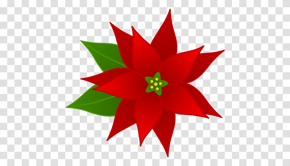 Christmas Winter S, Plant, Dahlia, Flower, Ornament Transparent Png