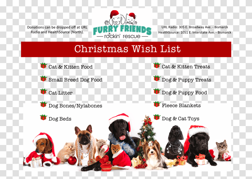 Christmas Wish List Dogs And Cats Christmas, Tree, Plant, Canine, Animal Transparent Png