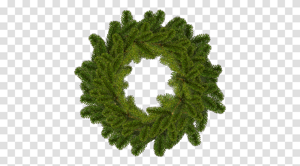 Christmas Wreath Circle, Tree, Plant, Bear, Wildlife Transparent Png