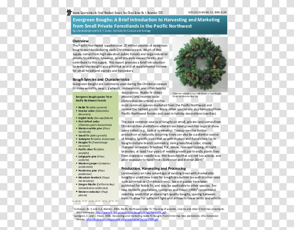 Christmas Wreath, Green, Poster, Advertisement Transparent Png