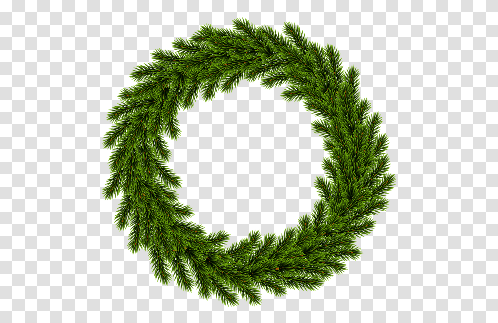 Christmas Wreath, Holiday, Green, Fern, Plant Transparent Png