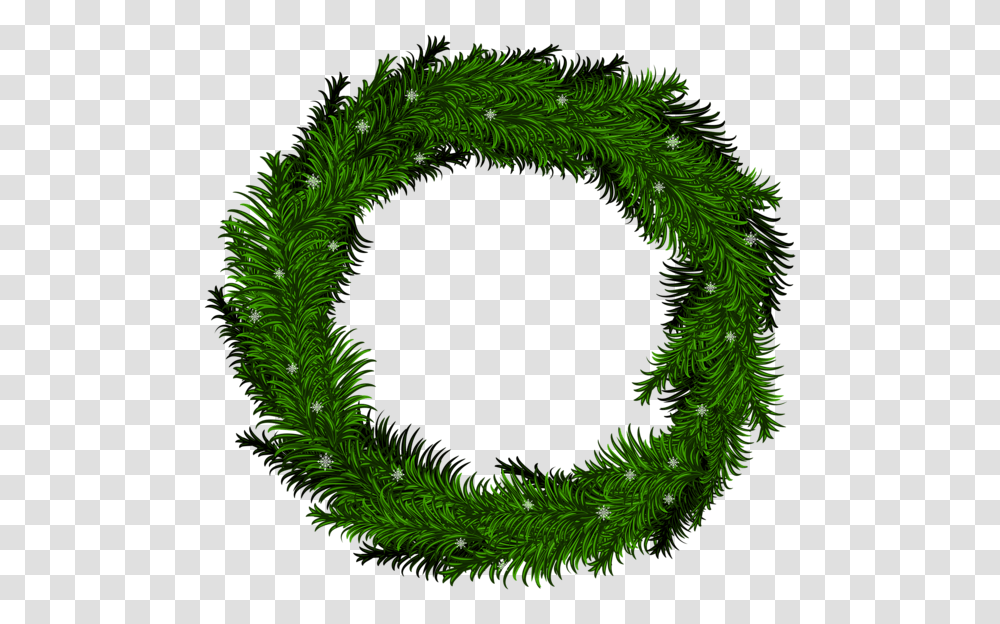 Christmas Wreath, Holiday, Green, Moss, Plant Transparent Png