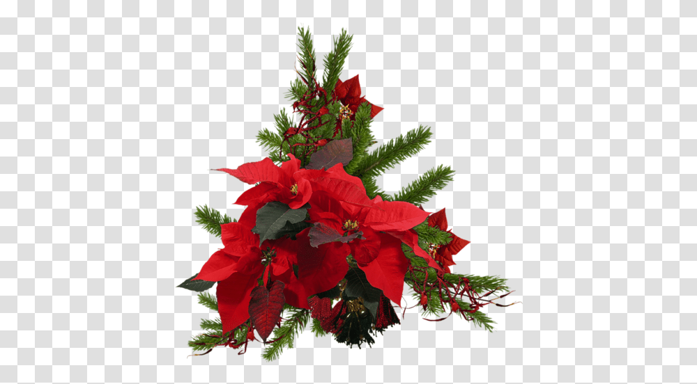 Christmas Wreath Poinsettia Red Sticker By Kayoss For Holiday, Plant, Flower, Blossom, Flower Arrangement Transparent Png