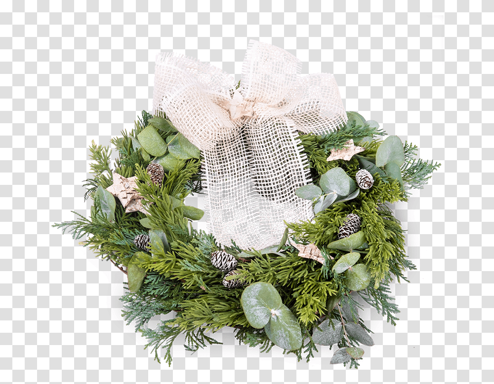 Christmas Wreath Wreath, Plant, Flower, Blossom Transparent Png