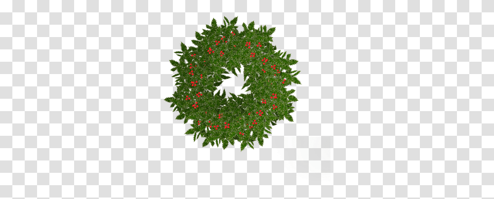 Christmas Wreaths My Ordinary Life Wreath, Bird, Animal, Bush, Vegetation Transparent Png