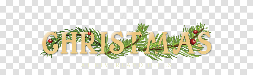 Christmasatrh Web Header Web Header Illustration, Word, Outdoors, Vegetation Transparent Png