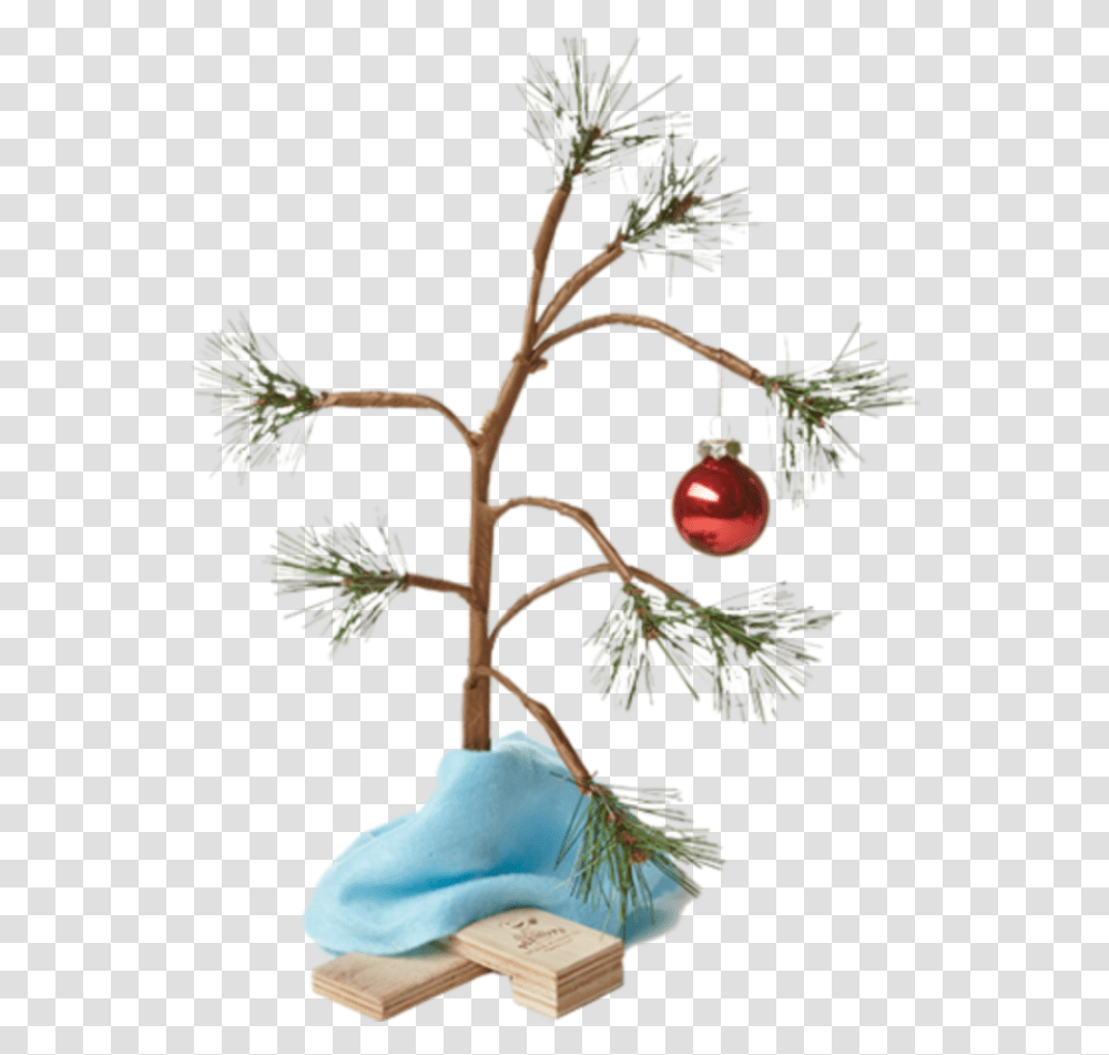 Christmastree Sticker Charlie Brown Christmas Tree Background, Plant, Annonaceae, Conifer, Seed Transparent Png