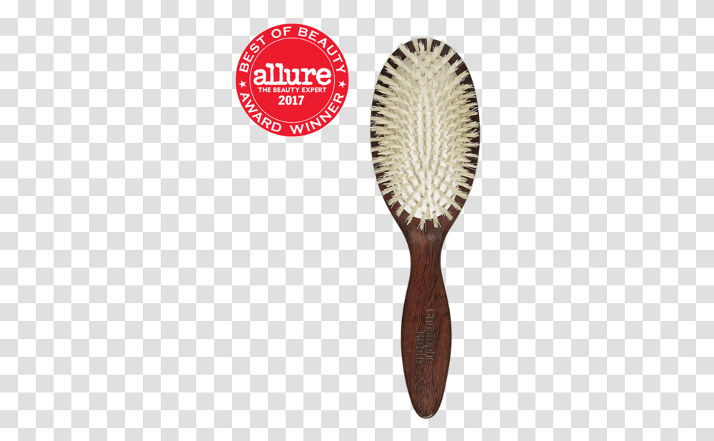 Christophe Robin Boar Bristle Detangling Hairbrush, Tool, Toothbrush Transparent Png
