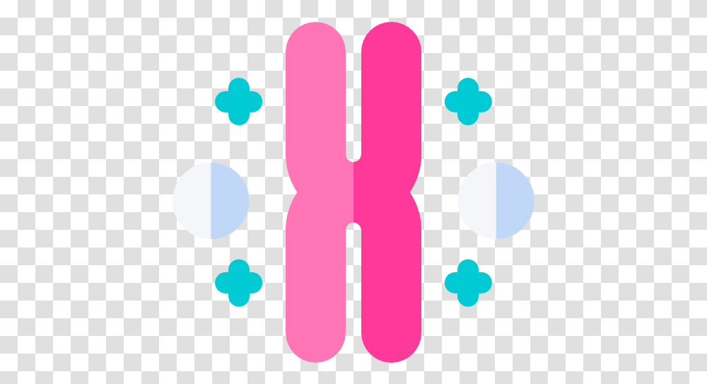Chromosome Chromosome Icon, Text, Number, Symbol, Alphabet Transparent Png
