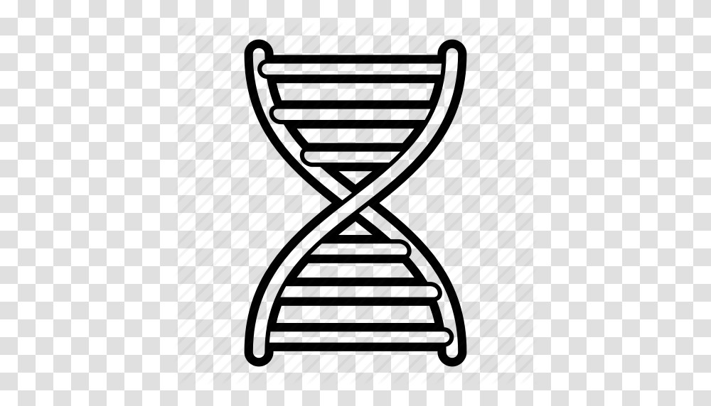 Chromosome Dna Dna Helix Genetic Icon, Hourglass Transparent Png