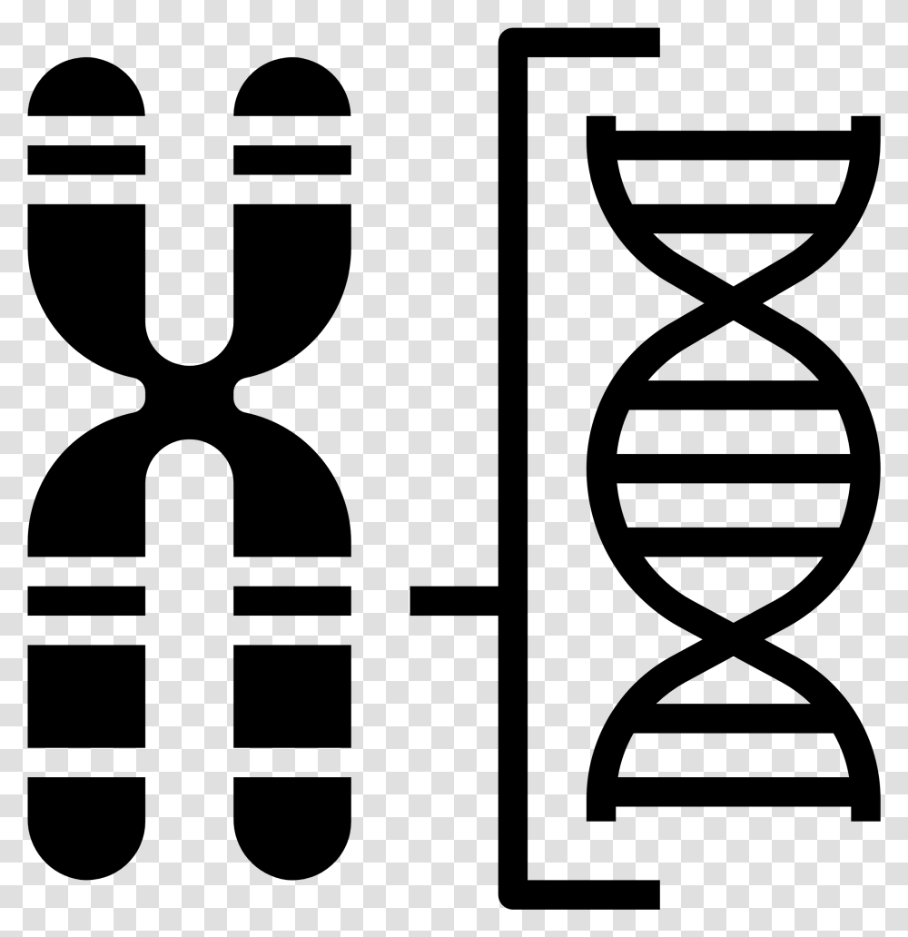 Chromosome Icon, Gray, World Of Warcraft Transparent Png