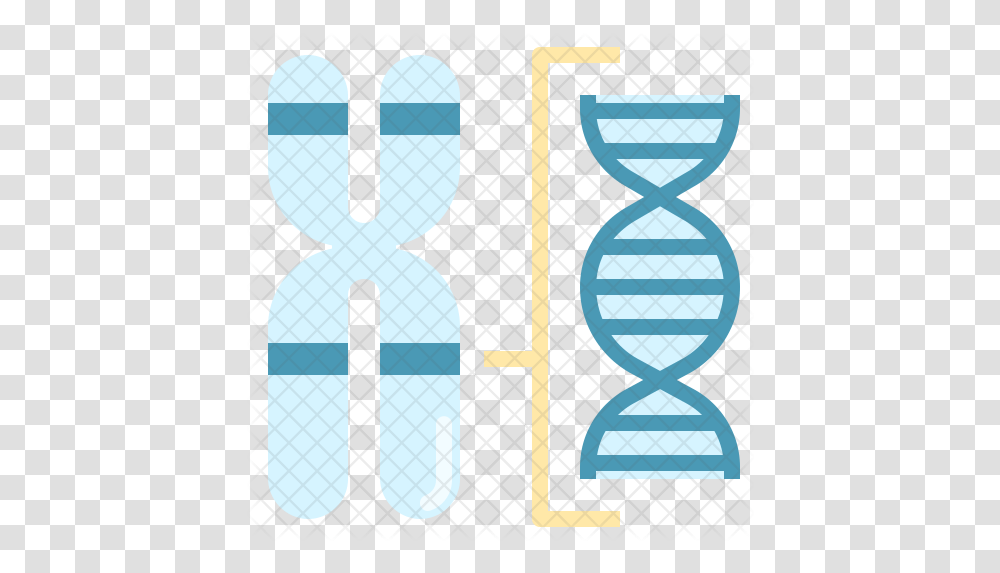 Chromosome Structure Icon Louvre, Hourglass, Text Transparent Png
