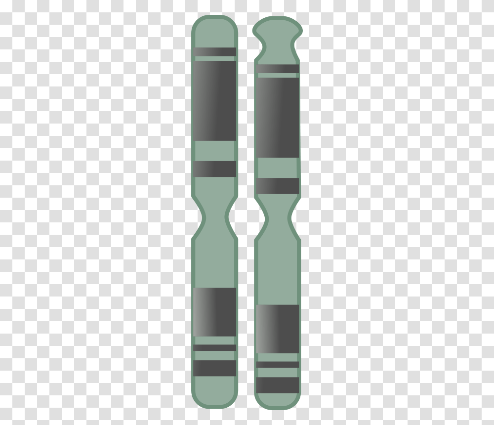 Chromosome, Technology, Fork, Cutlery, Spoon Transparent Png
