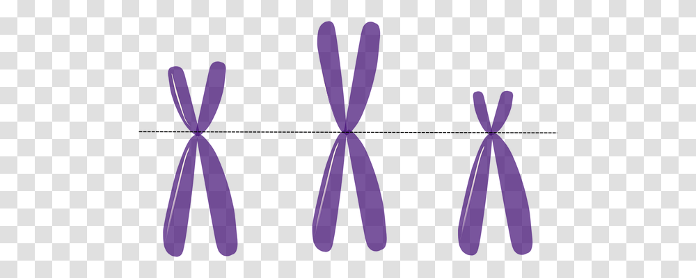 Chromosomes Technology, Tie, Accessories, Accessory Transparent Png