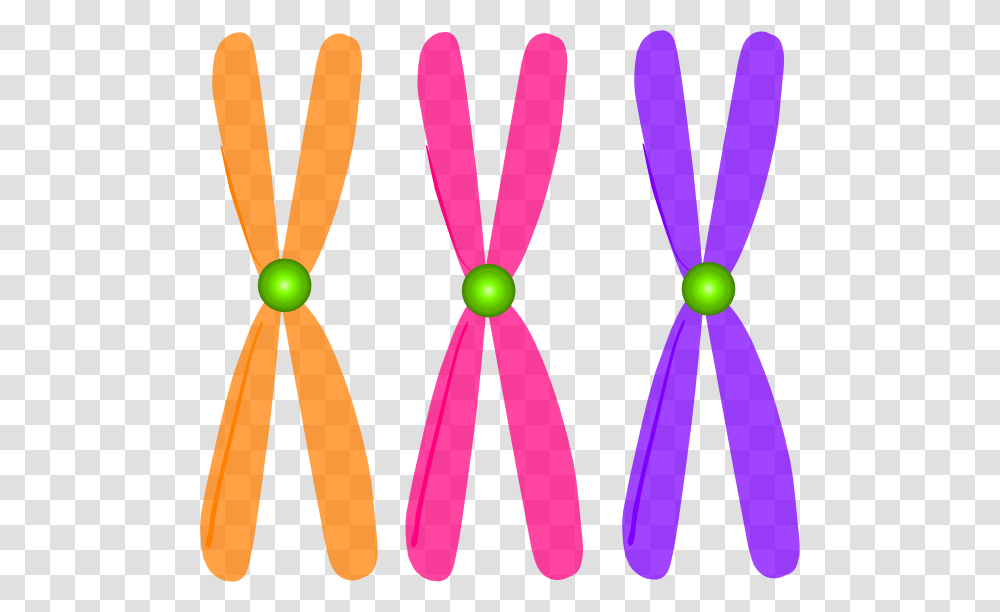 Chromosomes Clip Art, Apparel, Cutlery, Spoon Transparent Png