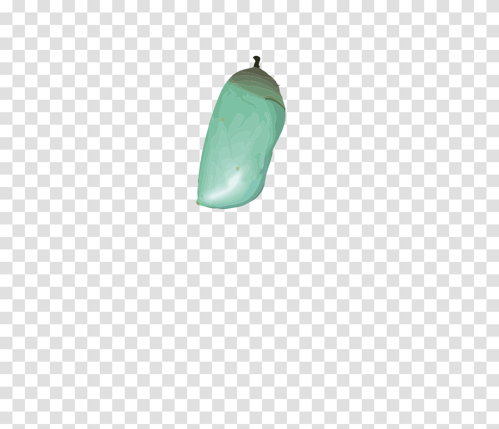 Chrysalis, Animals, Accessories, Jewelry, Gemstone Transparent Png