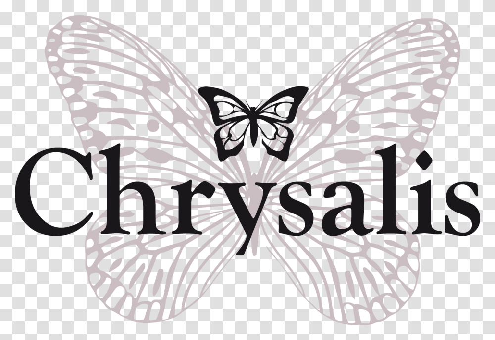 Chrysalis Jewelry Celebrates The Joy Found In Love Chrysalis Holidays, Stencil, Rug, Wasp, Insect Transparent Png