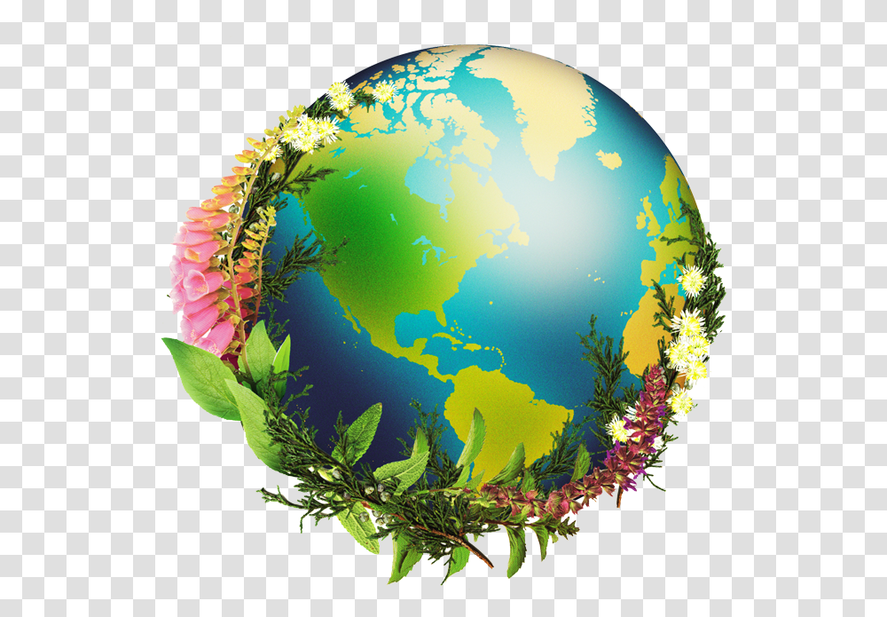 Chrysalis Natural Medicine Globe, Outer Space, Astronomy, Universe, Planet Transparent Png