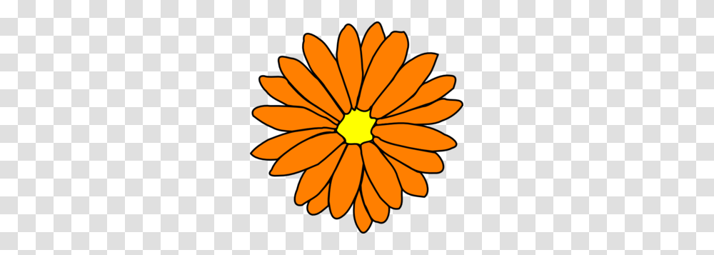 Chrysanthemum Clip Art, Plant, Flower, Blossom, Daisy Transparent Png