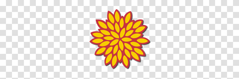 Chrysanthemum Clipart, Plant, Flower, Blossom, Daisy Transparent Png