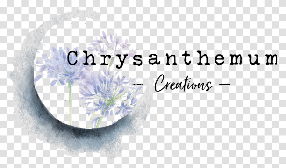 Chrysanthemum Creations Jasmine, Plant, Flower, Petal, Agapanthus Transparent Png