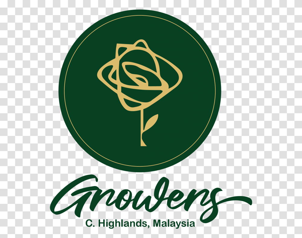 Chrysanthemum Flower Cameron Highlands Malaysia Flower Graphic Design, Symbol, Text, Logo, Plant Transparent Png