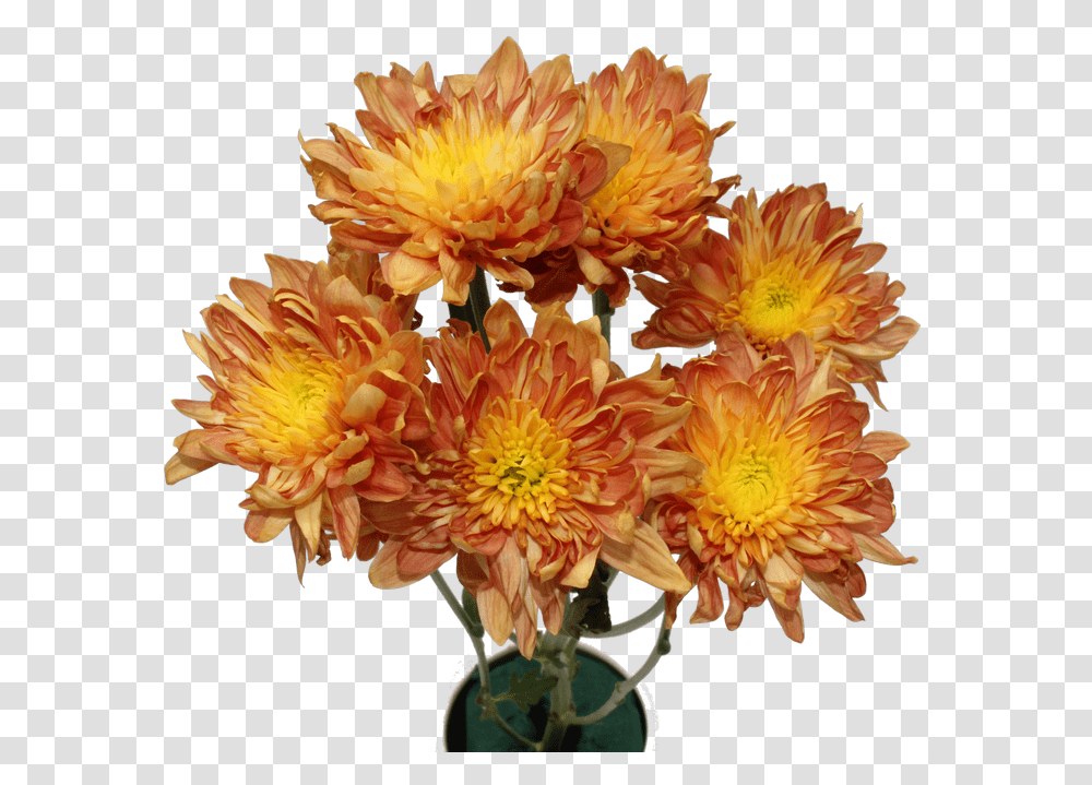 Chrysanthemum Flower Chrysanthemum Flower Bouquet, Plant, Blossom, Dahlia, Flower Arrangement Transparent Png