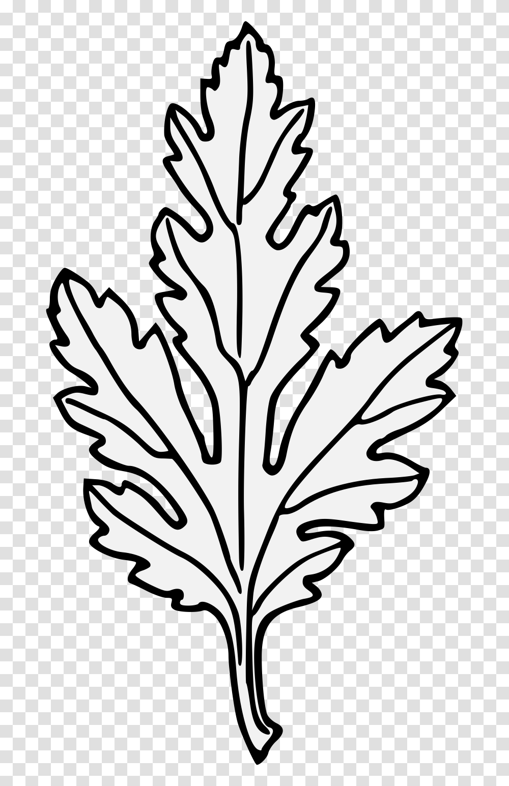 Chrysanthemum, Leaf, Plant, Tree, Maple Transparent Png