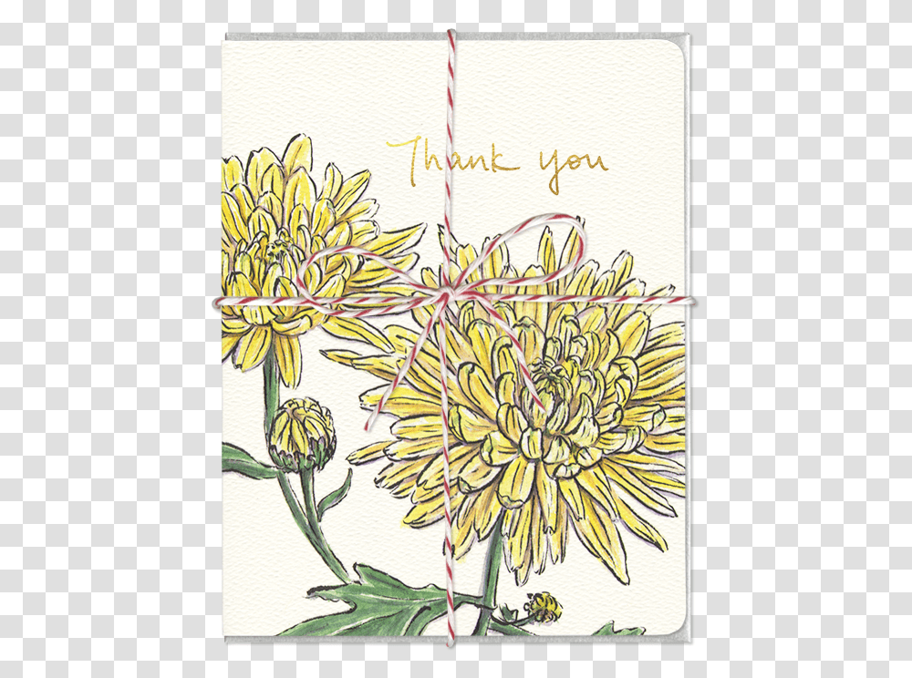 Chrysanthemum Thank You Card Greeting Card, Potted Plant, Vase, Jar, Pottery Transparent Png