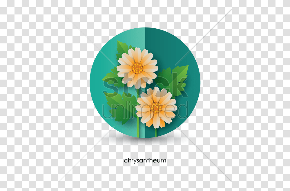 Chrysanthemum Vector Image, Floral Design, Pattern Transparent Png