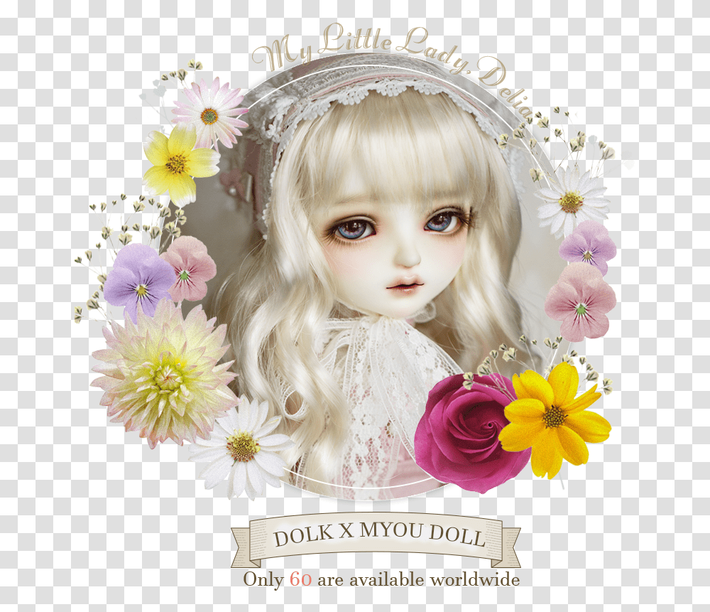 Chrysanths, Doll, Toy, Person, Flower Transparent Png