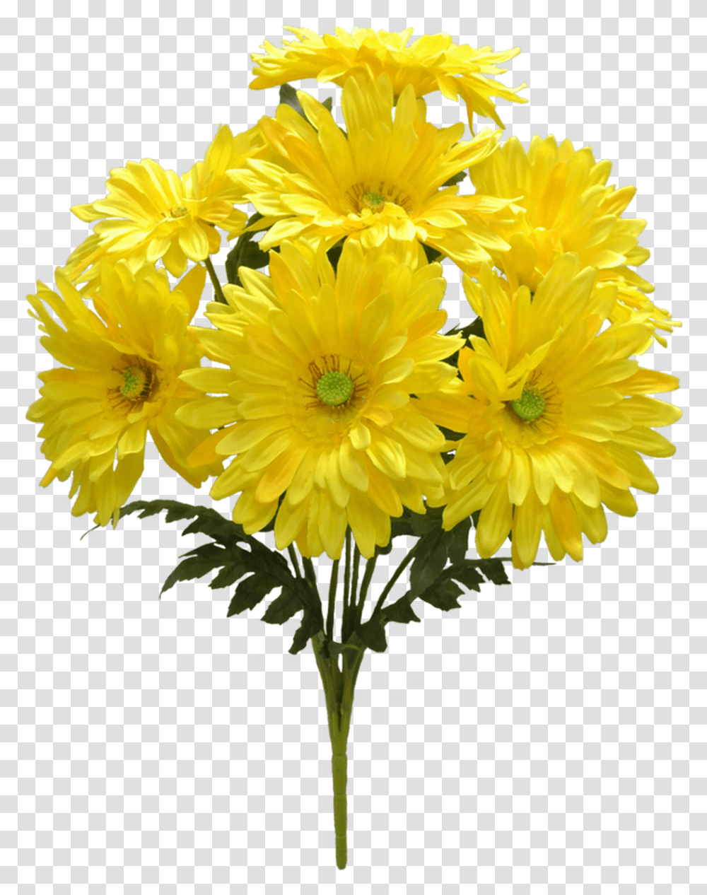 Chrysanths, Plant, Flower, Blossom, Flower Bouquet Transparent Png