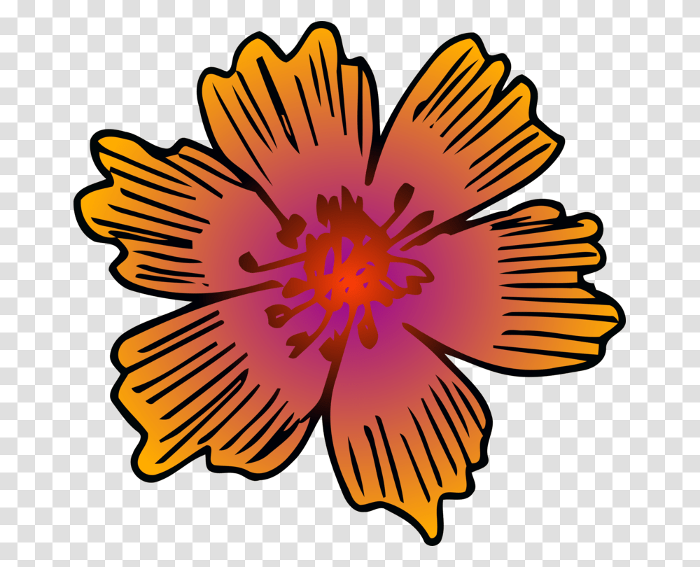 Chrysanthsplantflower Barberton Daisy, Petal, Blossom, Anther, Pollen Transparent Png