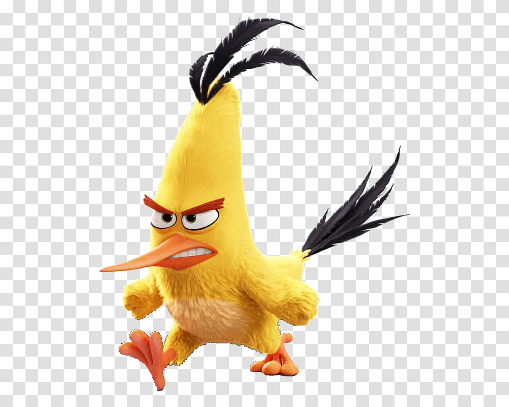 Chuck Angry Birds, Toy Transparent Png