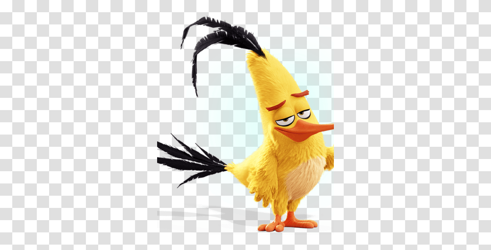 Chuck The Angry Birds Movie Heroes And Villians Wiki Chuck From Angry Birds, Animal, Art, Graphics, Beak Transparent Png