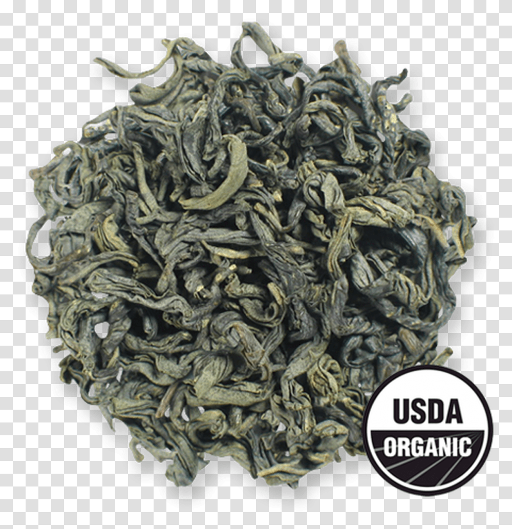 Chunmee Loose Leaf Green Tea From The Jasmine Pearl Usda Organic, Plant Transparent Png