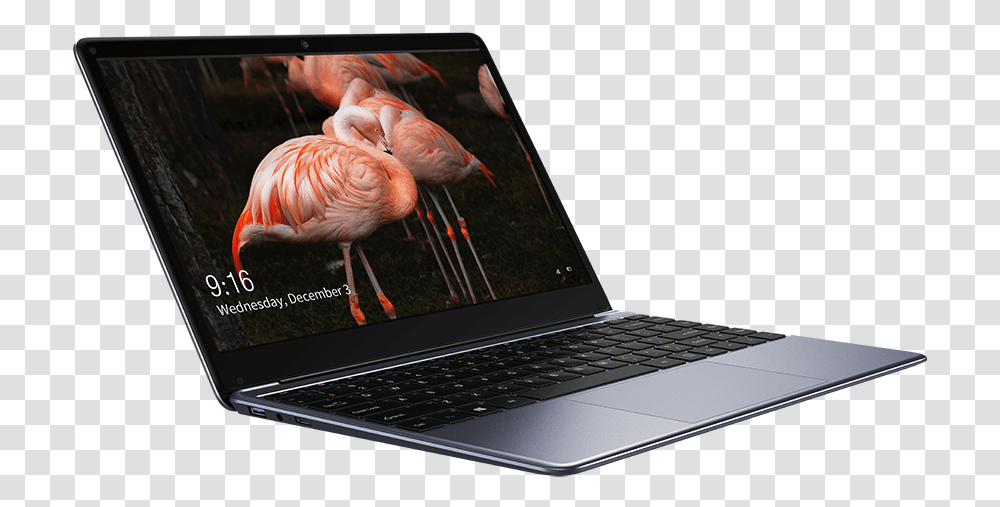 Chuwi Laptop, Pc, Computer, Electronics, Bird Transparent Png