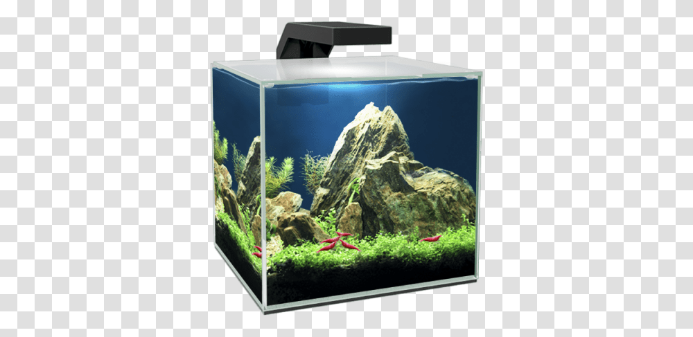 Ciano Aquarium Aquarium Nano Cube, Water, Sea Life, Animal, Aquatic Transparent Png