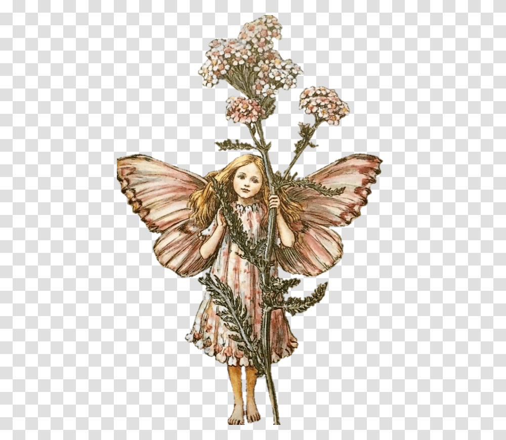 Cicely Mary Barker Flower Fairies, Person, Human, Angel Transparent Png
