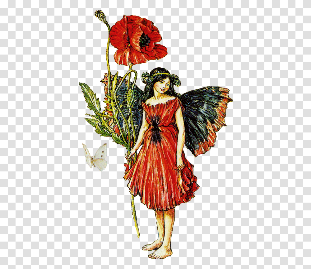 Cicely Mary Barker, Person, Plant, Costume Transparent Png