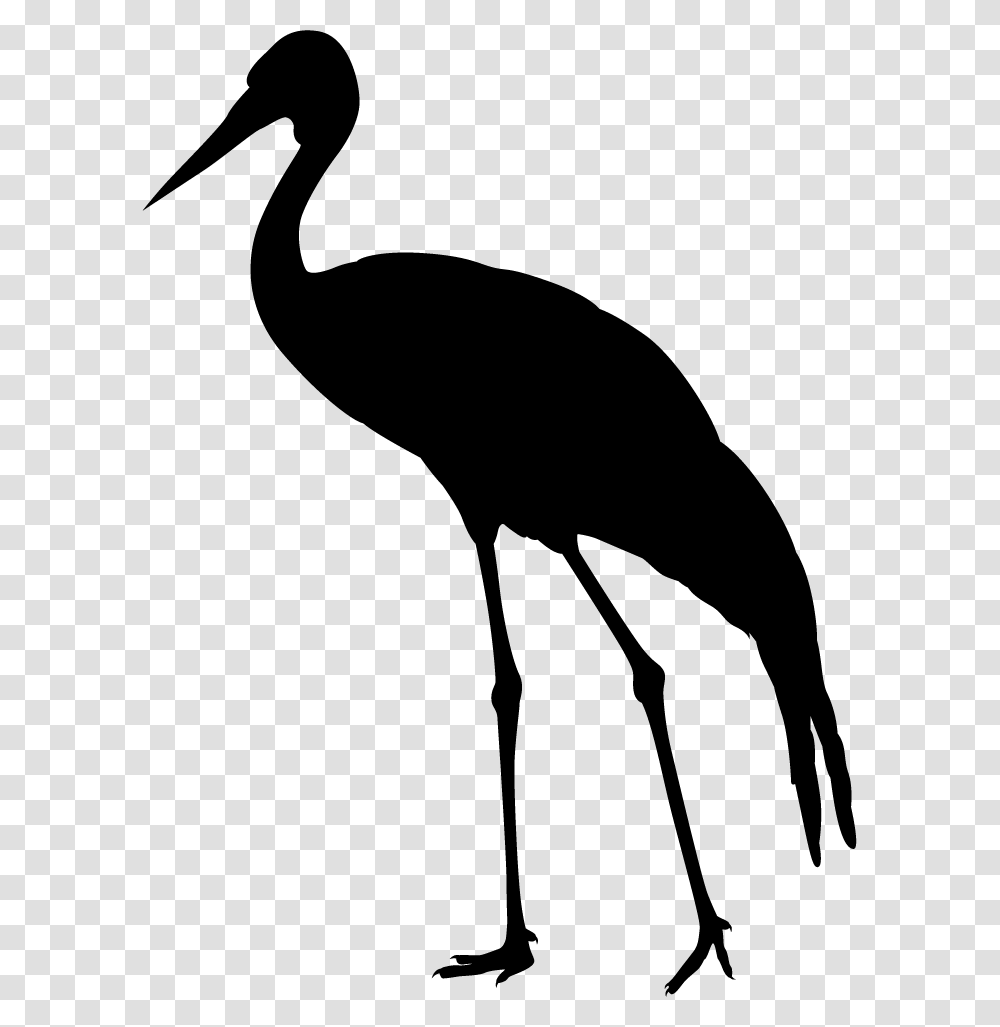 Ciconiiformes, Bird, Animal, Crane Bird, Stork Transparent Png