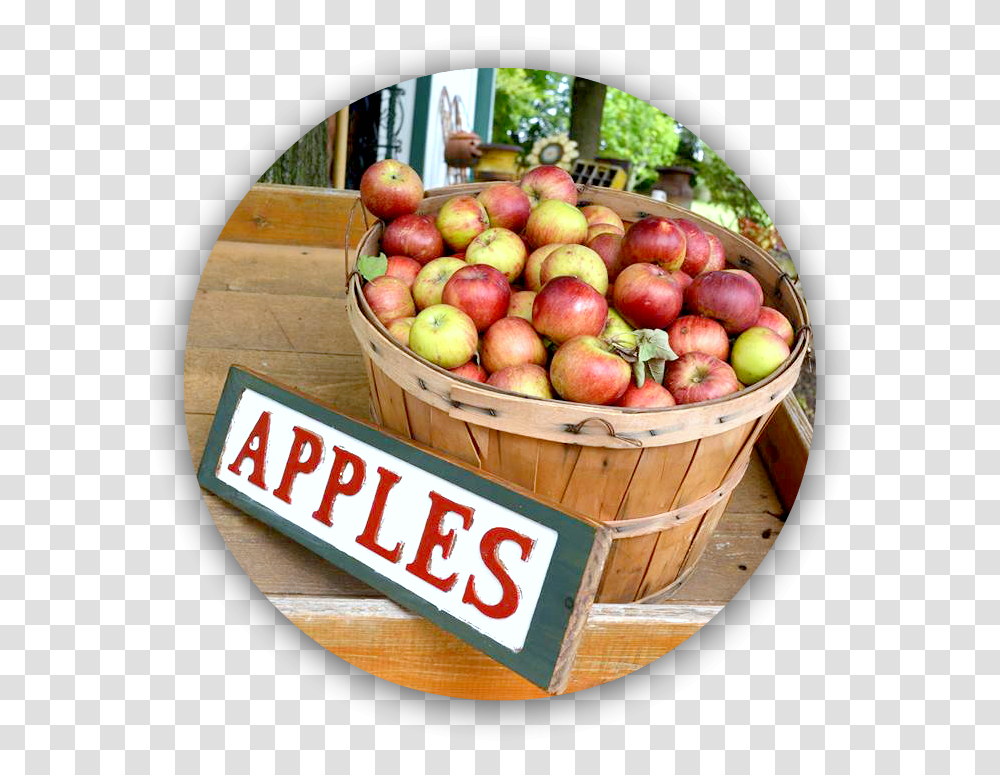Cider Hill Family Orchard Mcintosh, Plant, Fruit, Food, Apple Transparent Png