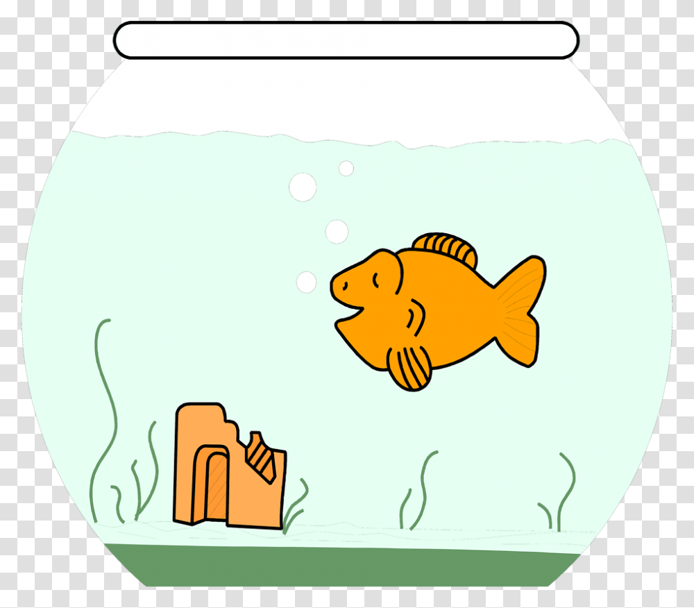 Cidyjufun Kissing Fish Cartoon, Animal, Goldfish, Sea Life Transparent Png
