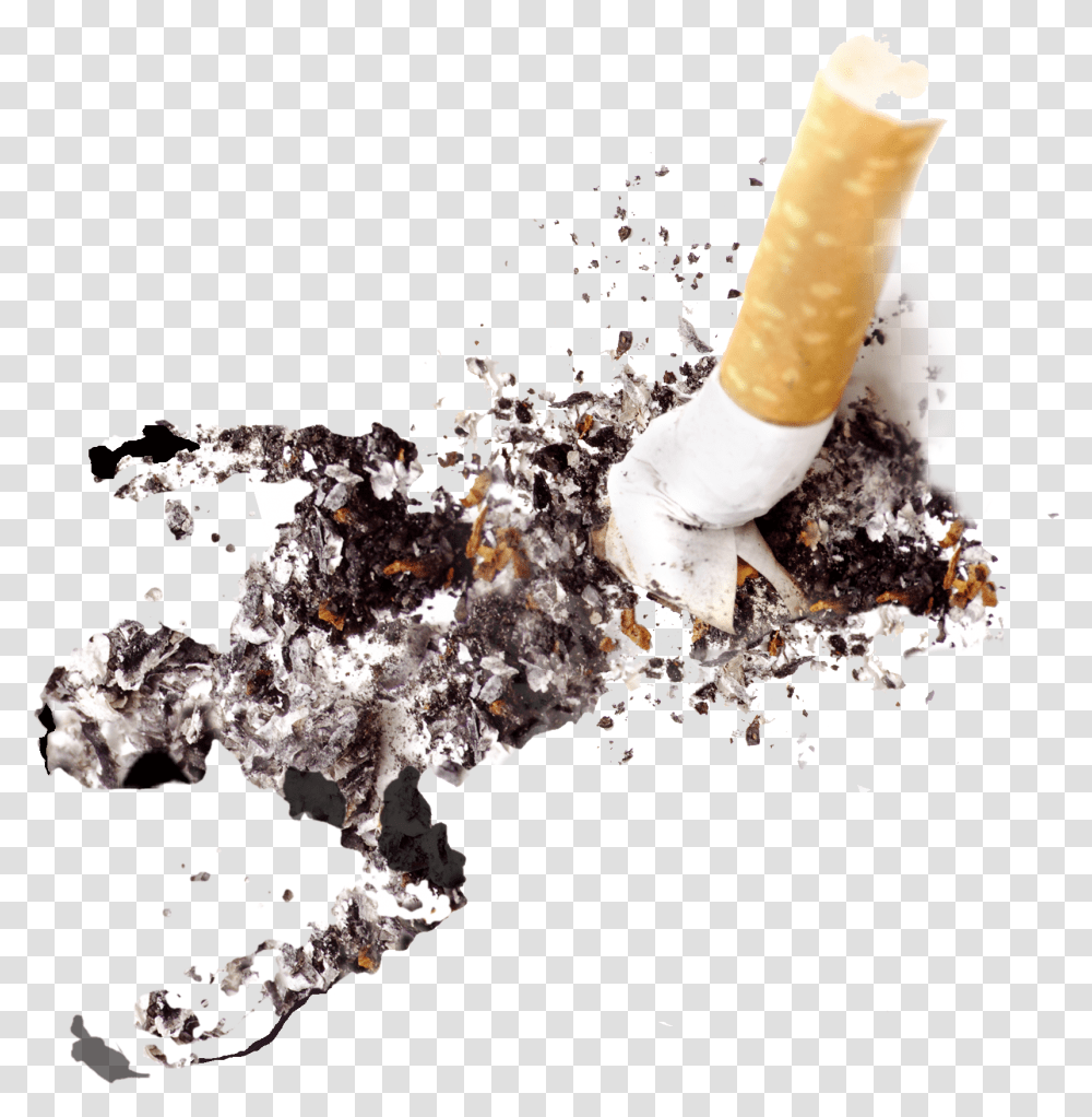 Cigarette Ashes Cigarette Ash, Ashtray, Smoke, Smoking Transparent Png