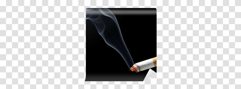 Cigarette Smoke Wall Mural • Pixers We Live To Change Burning Cigarette, Smoking, Label, Text, Incense Transparent Png