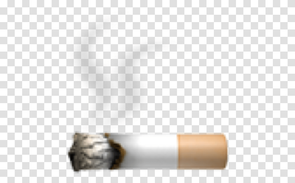 Cigarette Tobacco Smoking Ashtray Tobacco Smoking, Animal, Bird, Smoke Transparent Png