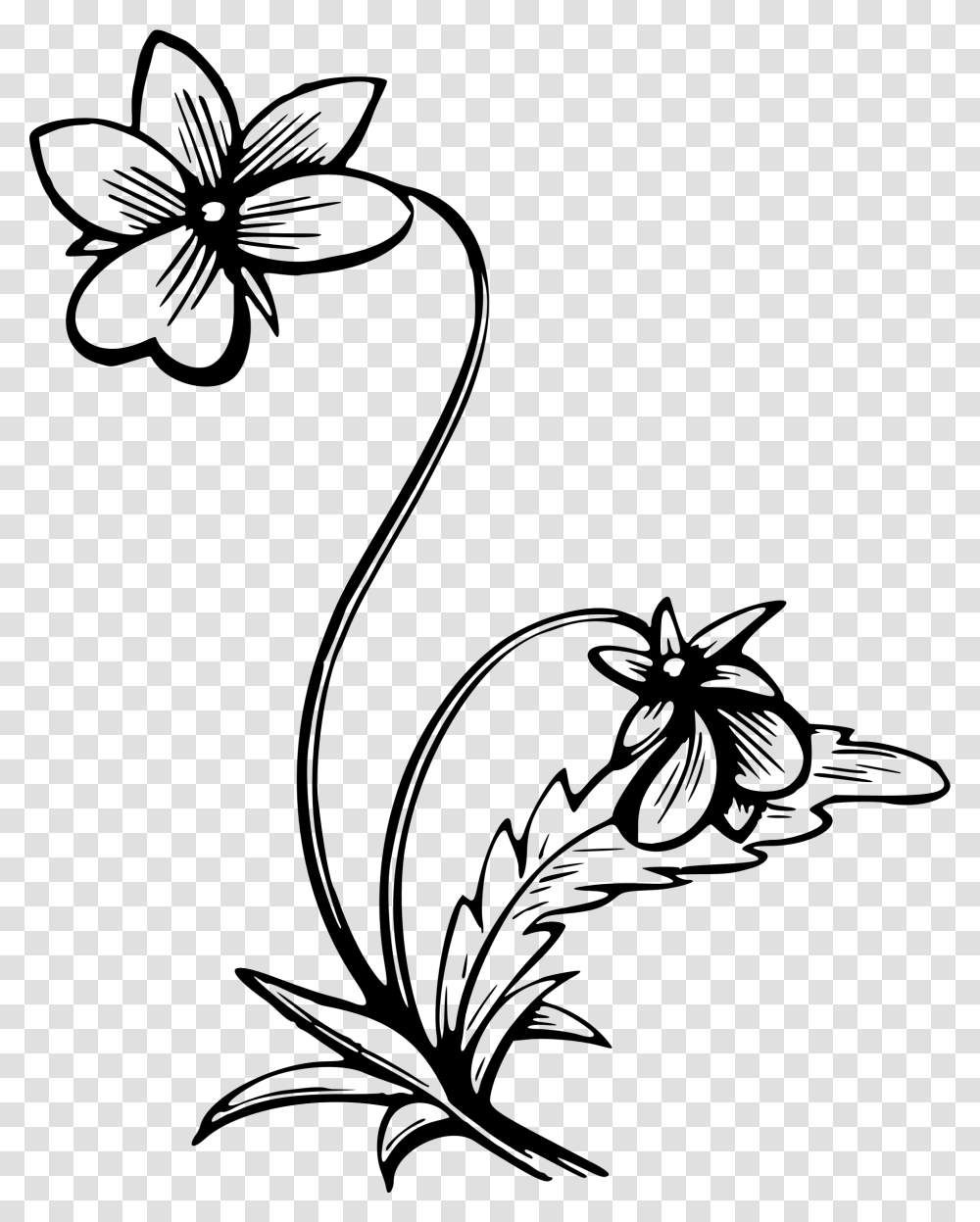 Cigarettes Drawing Flower Huge Freebie Download For Powerpoint, Gray, World Of Warcraft Transparent Png