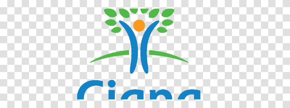 Cigna Logo, Green, Plant Transparent Png